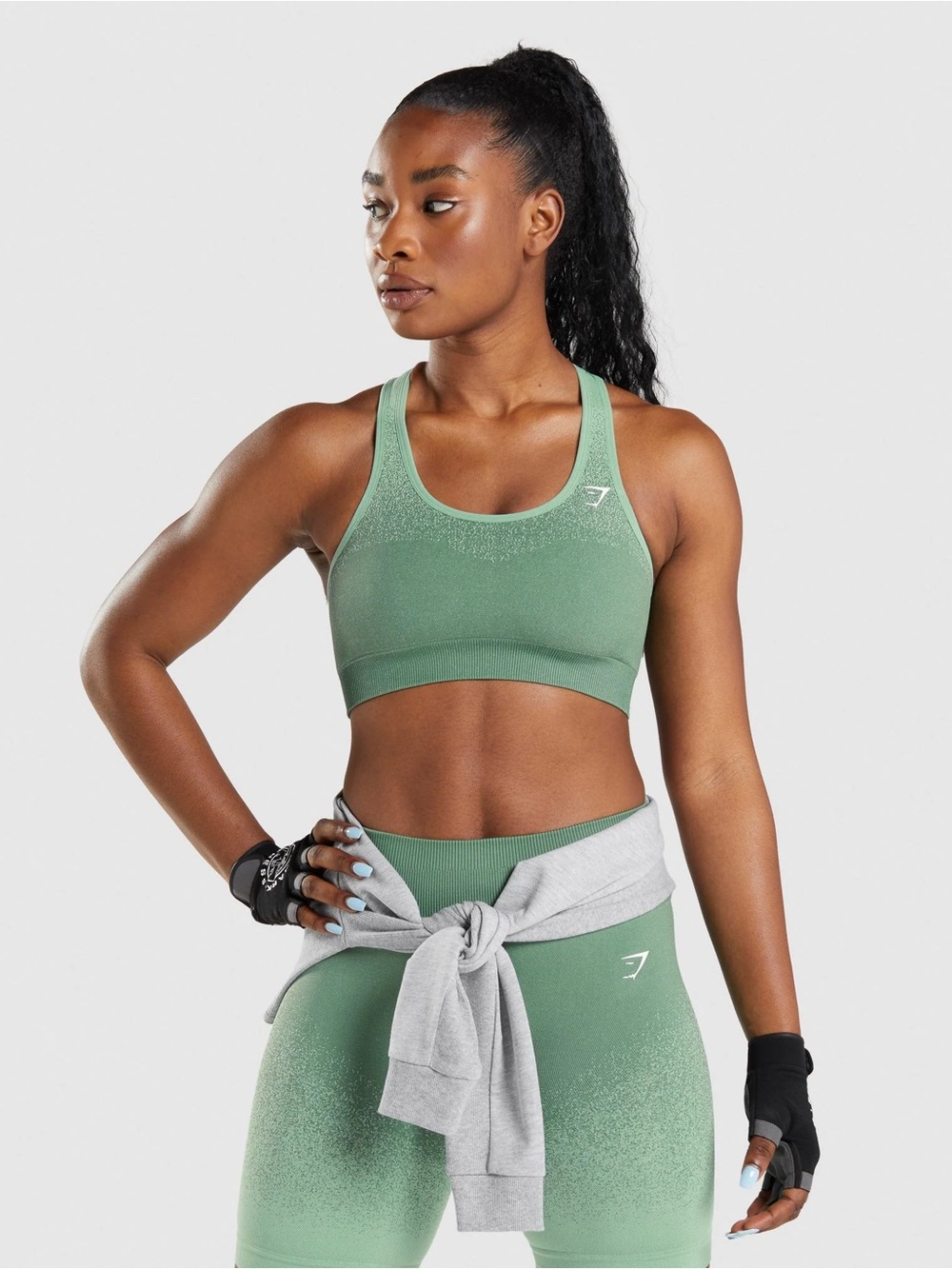 Gymshark adapt ombré seamless sports bra